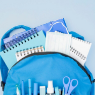 BAGS AND CARRIERS